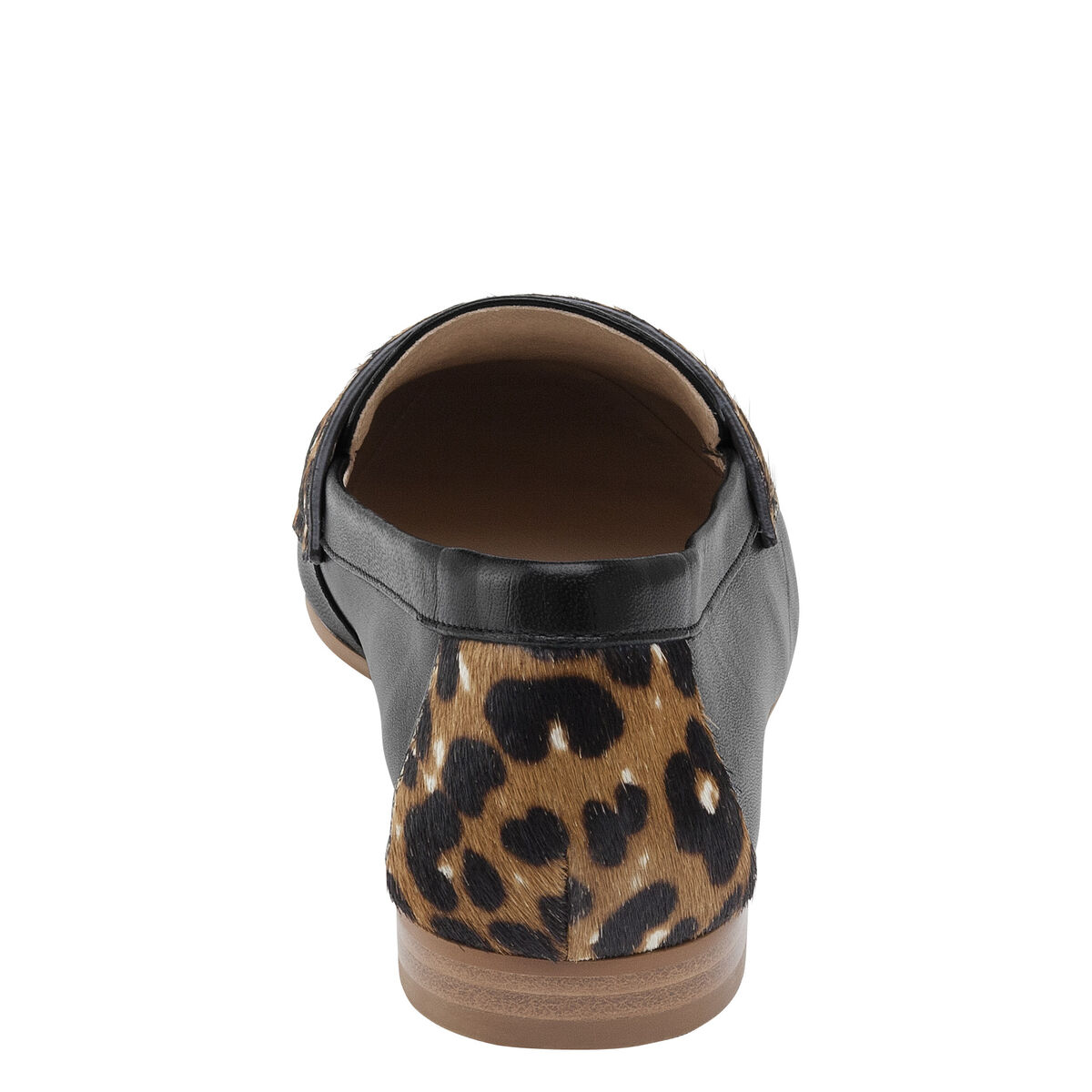 Petrina image number null