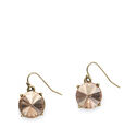 Stone Drop Earrings image number null