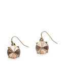 Stone Drop Earrings image number null