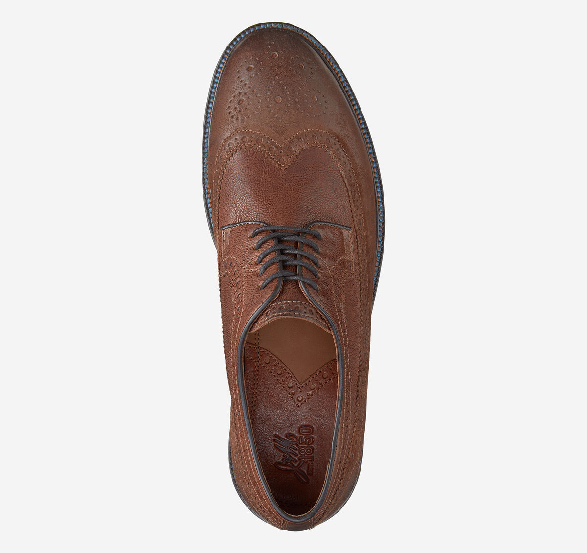 Brewer Wingtip image number null