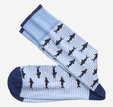 Striped Shark Socks