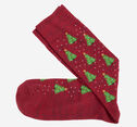 Pima Cotton Holiday-Themed Socks image number null