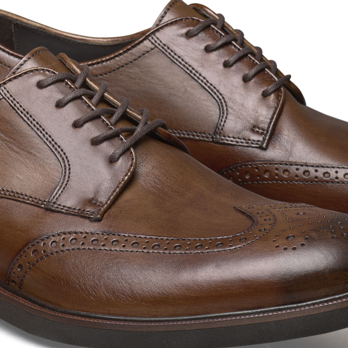 Hartley Wingtip image number null