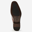 Ellsworth Double-Buckle Monk Strap image number null