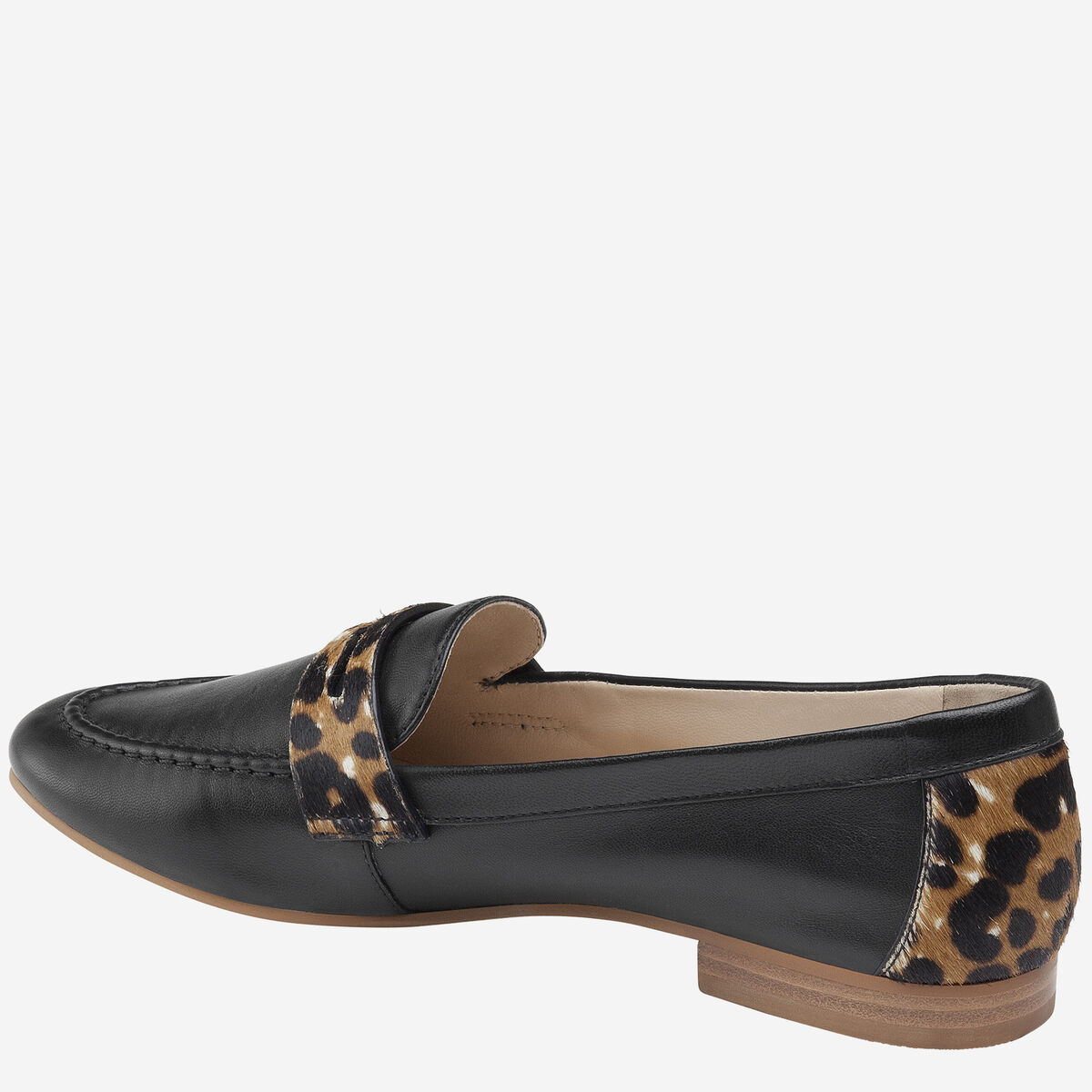 Petrina image number null