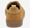 Ollie Lace-to-Toe image number null