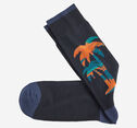 Novelty Socks image number null