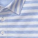 Vintage Slub Stripe Polo image number null