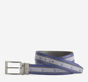 Reversible Striped Belt image number null
