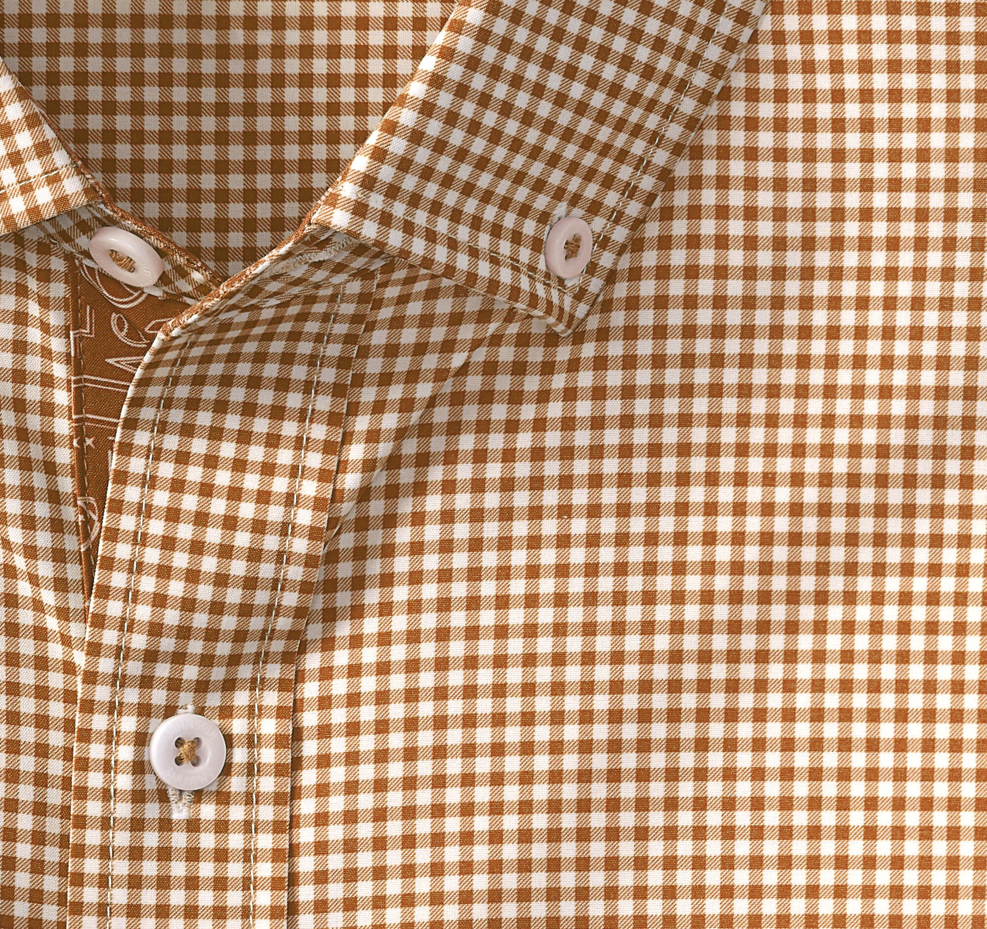 トップス THE DAY : NEW GINGHAM STANDARD SHIRT NEW GINGHAM STANDARD SHIRT – THE DAY