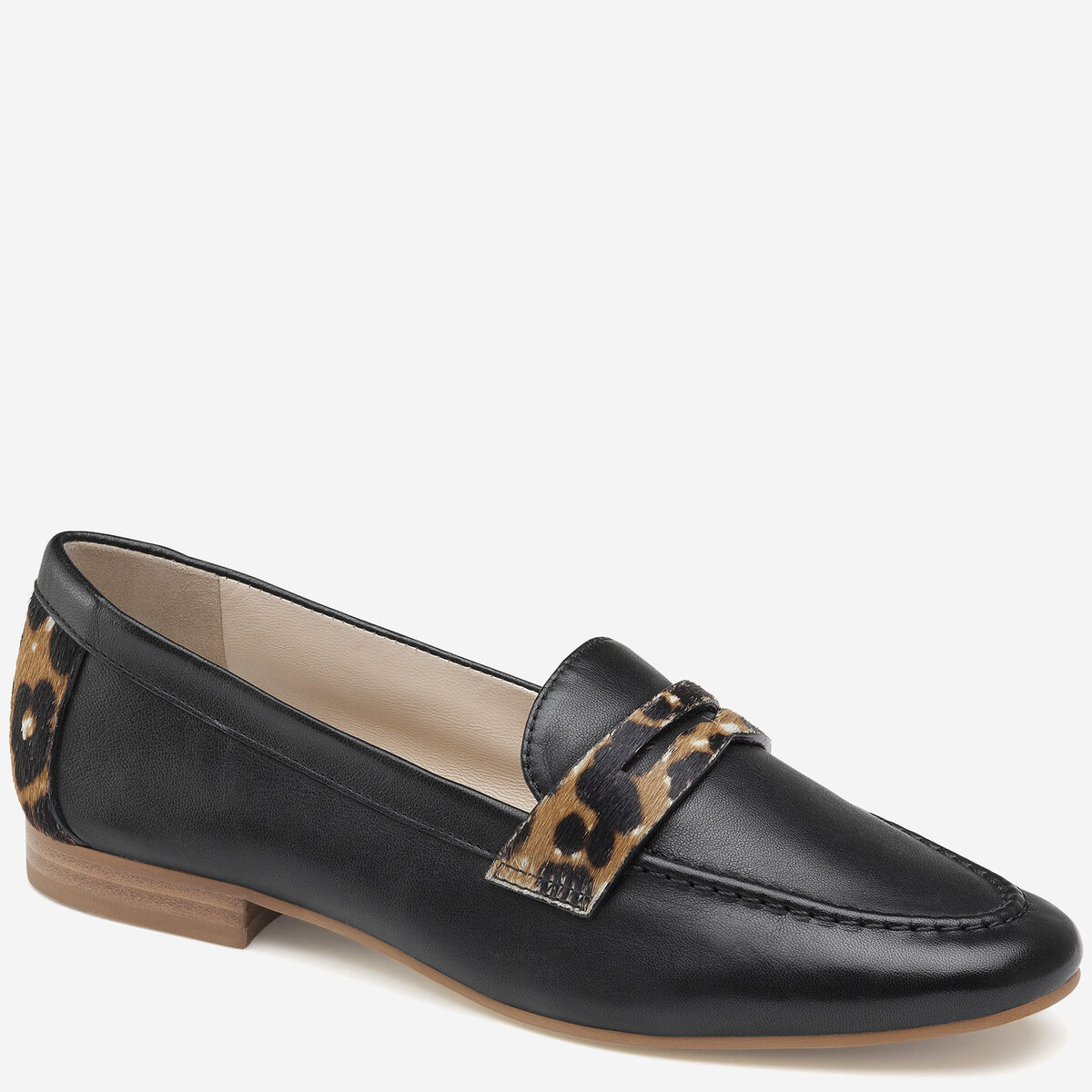 Petrina image number null