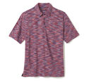 Space-Dyed Polo image number null