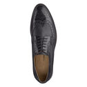 Hannigan Wingtip image number null