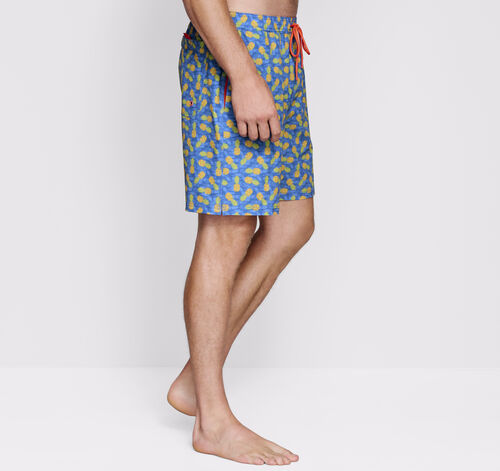 Swim Shorts - Blue Multi Pineapple Print
