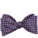 Silk Bow Tie image number null
