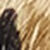 Ashley Lace-to-Toe - Beige/Brown Zeba-Print Haircalf
