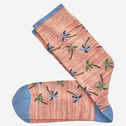 Novelty Socks image number null