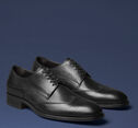 Kingston Wingtip image number null