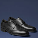 Kingston Wingtip image number null