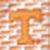 Collegiate XC+&trade; State Print Polo - University of Tennessee - Orange