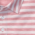 Vintage Slub Stripe Polo image number null