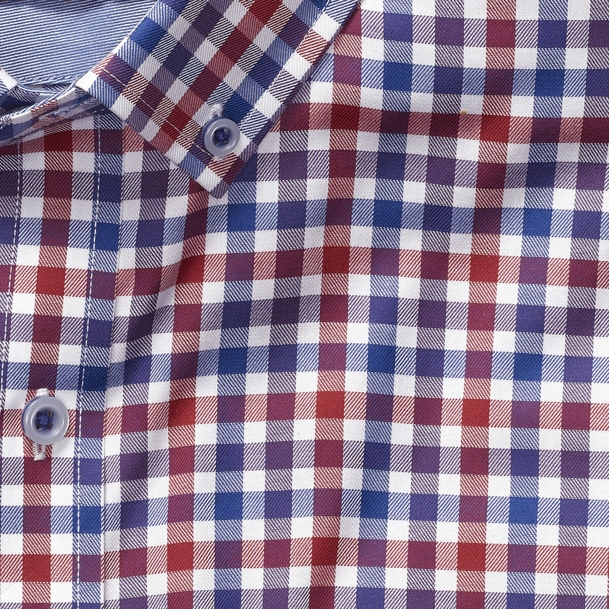 Button-Collar Premium Cotton Shirt image number null