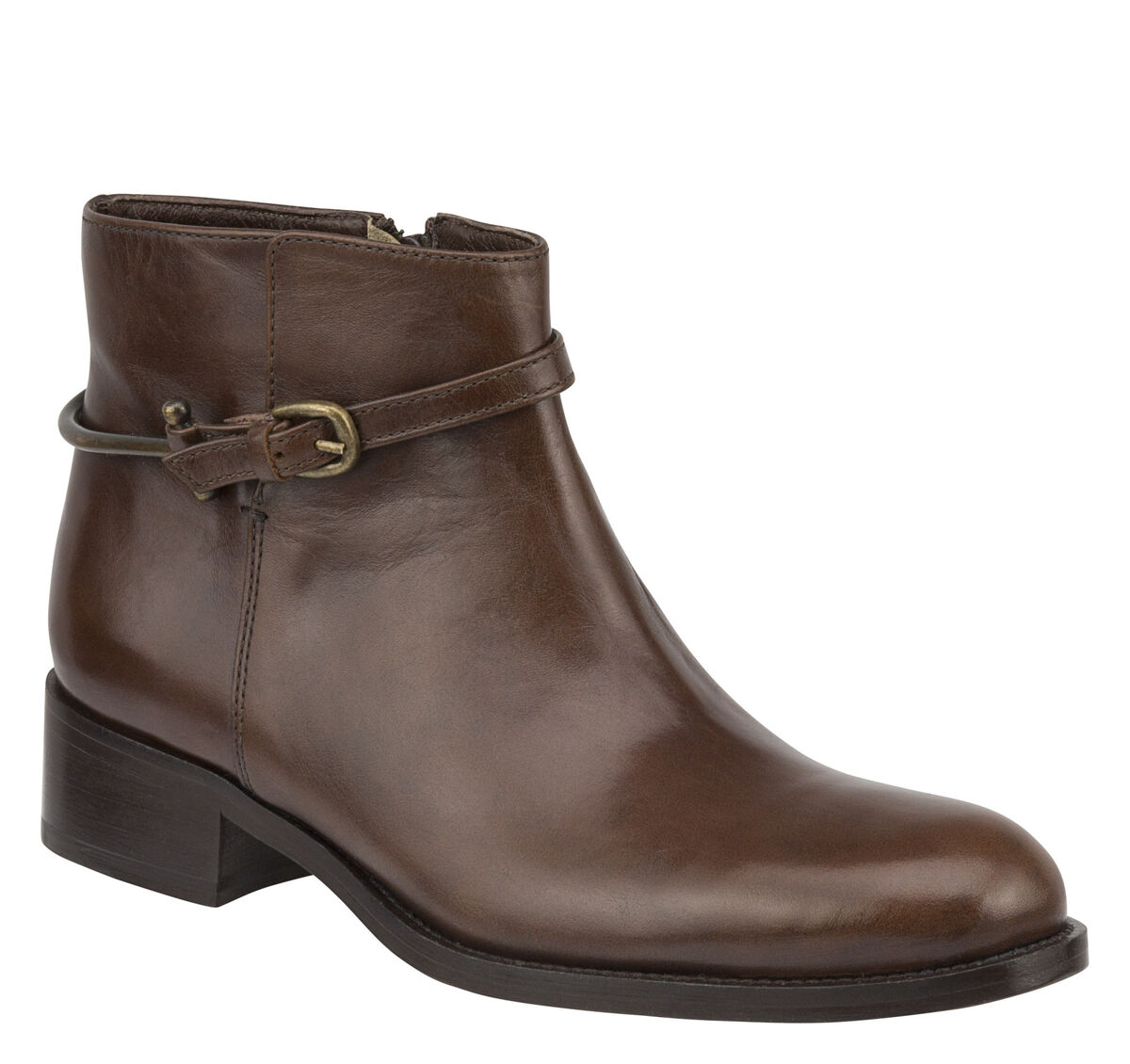 Sari Harness Jodhpur image number null