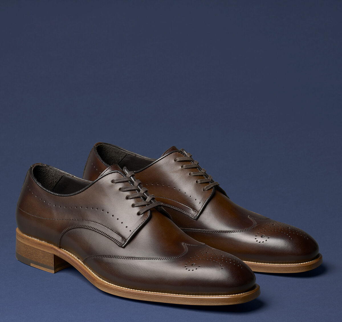 Kingston Wingtip image number null