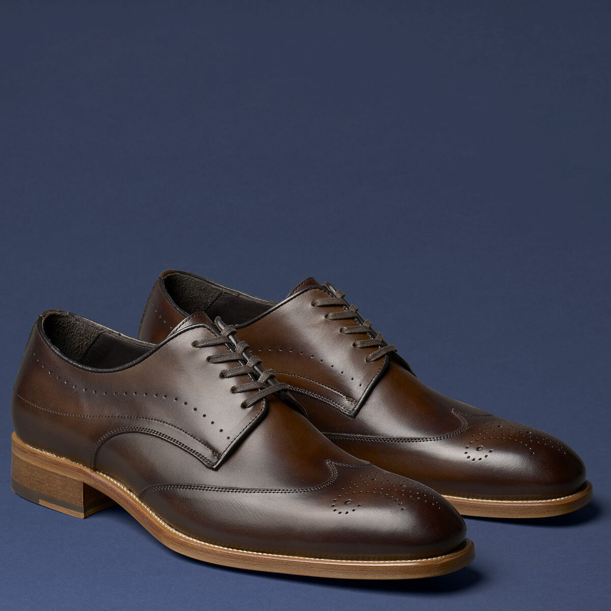 Kingston Wingtip image number null