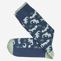 Novelty Socks image number null