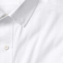 Premium Cotton Shirts image number null