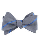 Stripe Bow Tie image number null