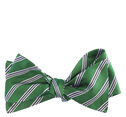 Silk Bow Tie image number null