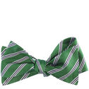 Silk Bow Tie image number null