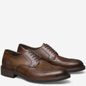 Hartley Wingtip image number null