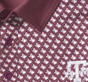 Collegiate XC+&trade; State Print Polo image number null