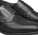 Ellsworth Wingtip image number null
