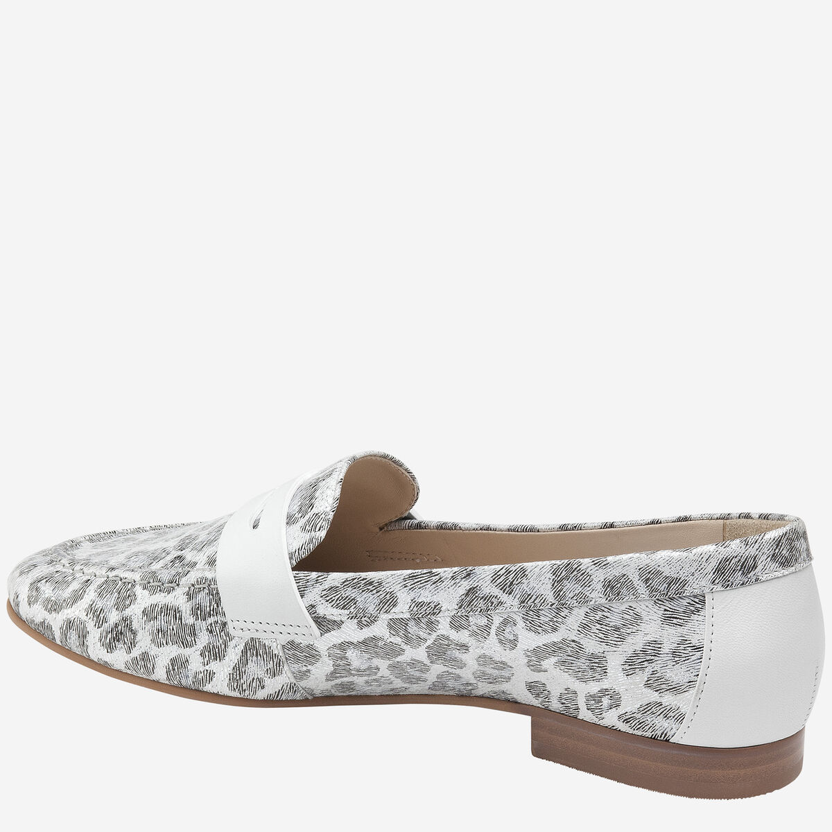 Petrina image number null