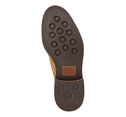 Cambridge Wingtip image number null