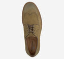 Ripley Wingtip image number null
