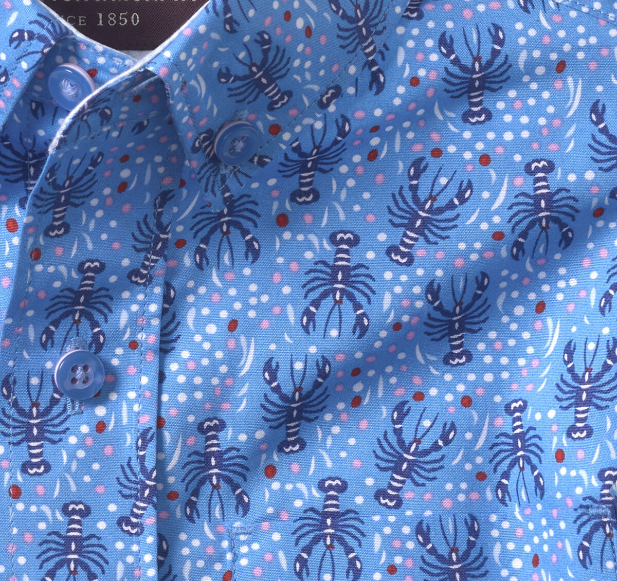 Boys Short-Sleeve Printed Shirt image number null