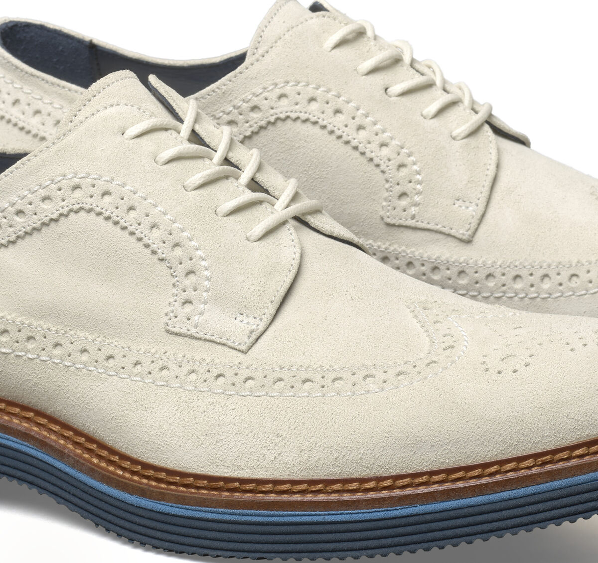 Jenson Longwing image number null