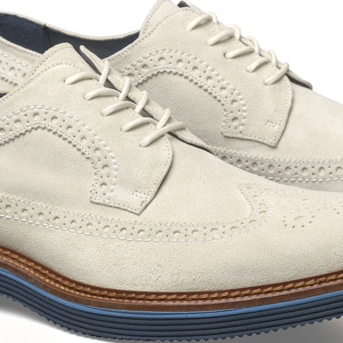 Jenson Longwing image number null