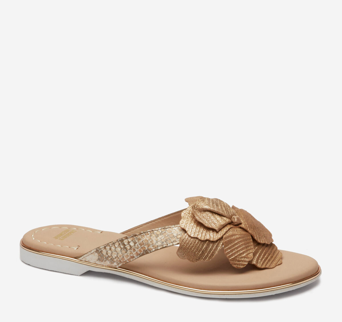 Reanne image number null