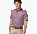 Collegiate XC+&trade; State Print Polo image number null