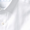 Premium Cotton Shirts image number null