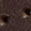 Mahogany Full-Grain Leather