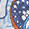 Sky Floral Paisley