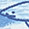 Blue Shark Print