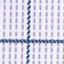 Purple/Navy Dotted Windowpane